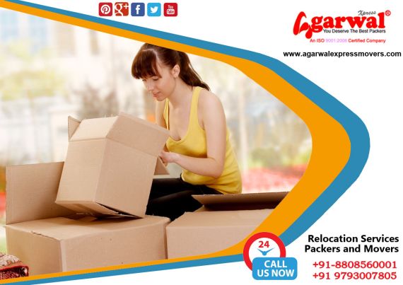 Packing and Moving Services
