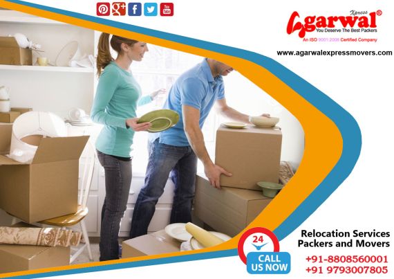 Packing and Moving Solutions
