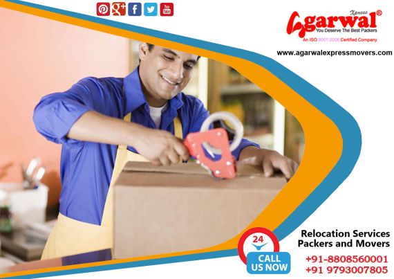 Packing and Moving Services