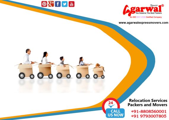 Packing and Moving Solutions in Modinagar