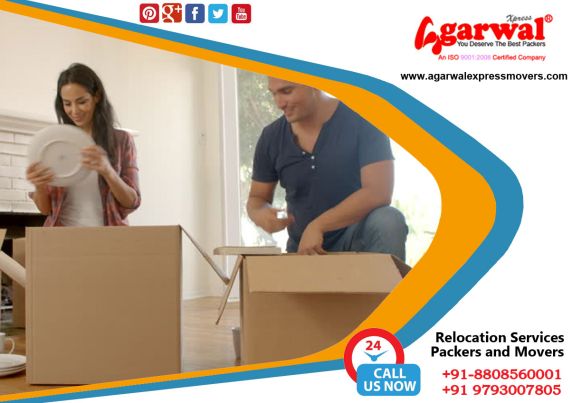 Packing and Moving Solutions