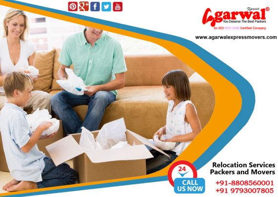 Packing and Moving Solutions