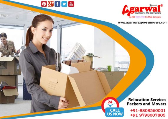 Packing and Moving Solutions