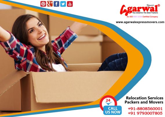 Packing and Moving Services