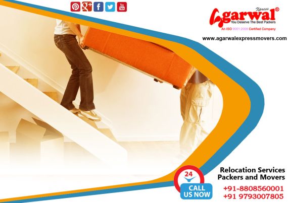 Packing and Moving Solutions Vikas Nagar