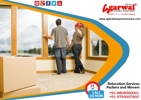 Packing and Moving Services