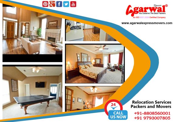 Packing and Moving Solutions